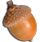 acorn